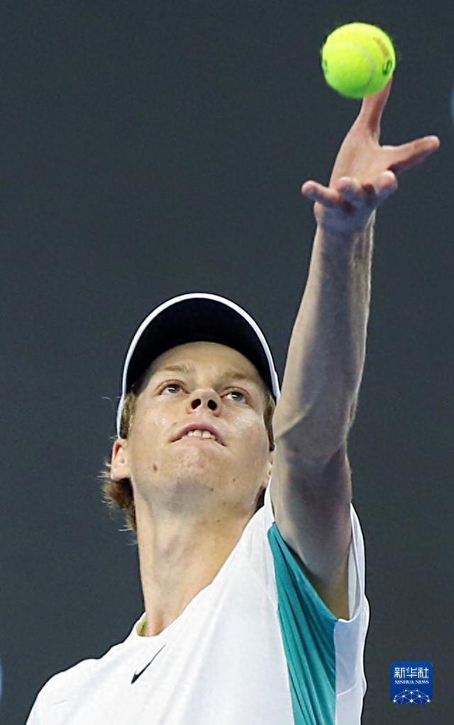 但勒沃库森 但勒沃库森